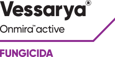 logo_vessarya
